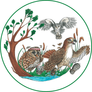 Raptor Run 5K Logo
