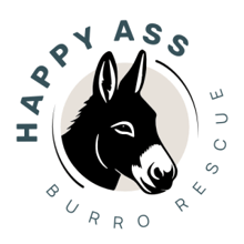River & Rails Donkey Dash logo