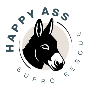River & Rails Donkey Dash Logo