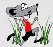 The 46th Annual Swamp Rat Runs Logo