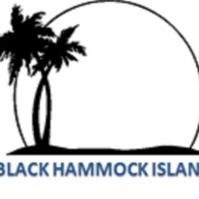 2026 BHI 5K logo