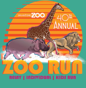 Kids  Zoo Run Logo