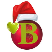 Who-liday 5k logo