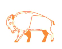 Iowa Trail Run Series: Jester Park logo