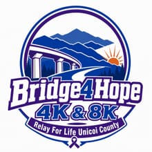 Bridge 4 Hope 4k & 8k logo