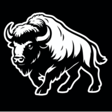 RUN FOR THE FRONTLINE logo