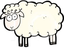 Sheep Shuffle logo