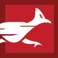 Toledo Roadrunners Club logo
