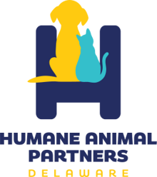 18th RUN FOR THE PAWS 5K, 5K WALK & 1M DOG WALK (SS Summer Series #10) logo