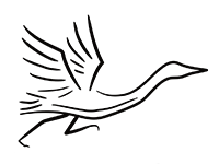 Tomorrow River Trail Half-Marathon Logo