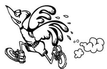48th Annual Roseville Big Bird Run logo