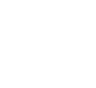 2027 Cooper River Bridge Run logo