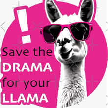 Save the Drama for your Llama 6 Hour Trail Run logo