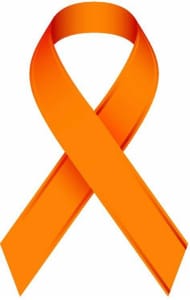 4th Annual Allie’s Army 5K Run / Walk to benefit the Brunas family logo