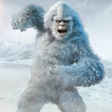 Yeti Half logo