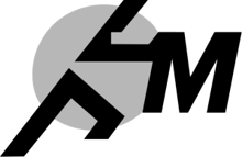 Gemini Timing Demo logo