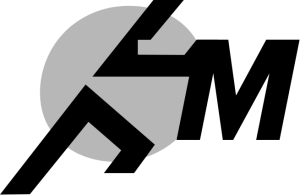Gemini Timing Demo Logo