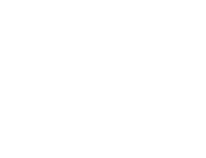 Holiday Bridge Challenge 5K Logo