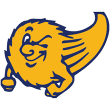 Comet 5k run/walk logo