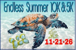 Endless Summer 10K & 5K Logo