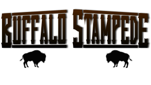 Six Pack Outdoors: Buffalo Stampede Logo