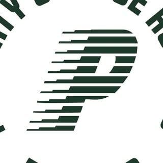PACE Buffalo logo