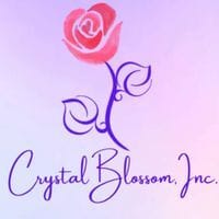 KSU & Crystal Blossom Inc. Breast Cancer Awareness Walk/Run logo