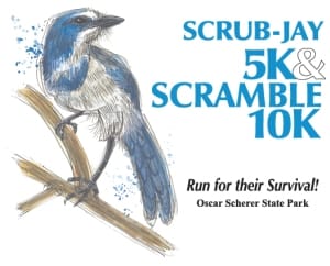 Scrub Jay Races Logo
