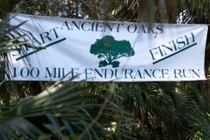 Ancient Oaks 100-Mile Endurance Run Logo