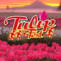Wooden Shoe TulipFest Run logo