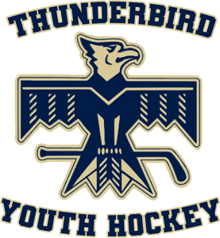 Thunderbird Hockey Fun Run logo