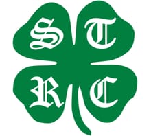 St. Patrick's Day 5K/10K logo