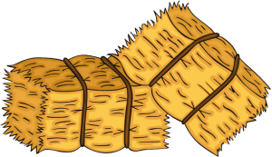 Hay Bale Hustle 3k Logo