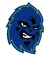 Yetis 5K logo