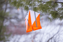 Michigan Adventure Race: Winter Edition logo