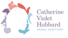 RACE FOR CATHERINE logo