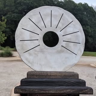 Rock Hill Striders logo