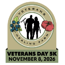 Veterans Day 5k logo