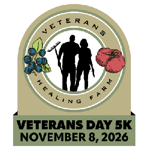 Veterans Day 5k Logo