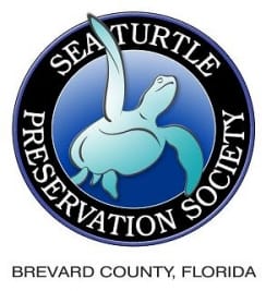 Turtle Krawl 5K Logo