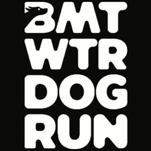 The 9th Annual Belmont Water Dog Run logo