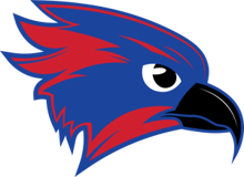 Owego Night Invite logo