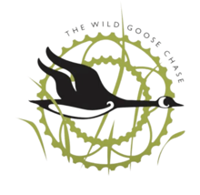 The Wild Goose Chase - 2026 logo