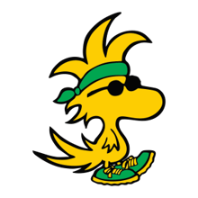 Publix Woodstock 5K logo