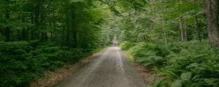 Tour de Shunk - State Forest Roads Logo
