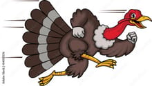 Stratford Turkey Day Trot logo