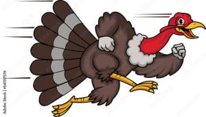 Stratford Turkey Day Trot Logo