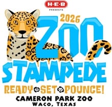 H-E-B Cameron Park Zoo Stampede Presented by H-E-B -  Partners Page logo