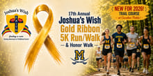17th Annual Joshua's Wish Gold Ribbon 5K Run/Walk & Honor Walk logo