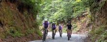 Gravel Roll - The Holler in Walhalla logo